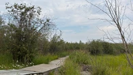 Yellowknife city council approves acquisition of land on Willow Flats, Frame Lake