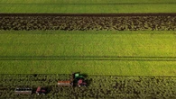 Carney to unveil new food security strategy