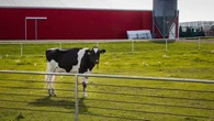 How the public plays a role in keeping Alberta's crops watered, livestock hydrated