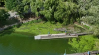 Pier 4 Park Beach closed after blue-green algae confirmed in the water, city says
