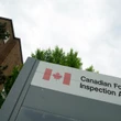 Microgreens sold in Ontario, Quebec recalled due to possible E. coli contamination