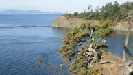 Several injured in seaplane emergency landing near B.C.-Wash. border
