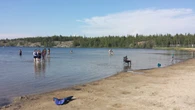 No swimming at Fred Henne Territorial Park due to 'elevated levels of bacteria'