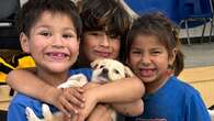 Constance Lake First Nation to hold first animal wellness clinic in at least 10 years