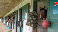 We'll 'start letting people go,' racetrack says if Ontario funding doesn't come through soon