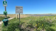 Protected wetland area in Shediac neighbourhood damaged again