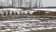 $80M in compensation for Central Elgin after land annexed by neighbouring St. Thomas