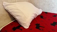 Cambridge women's shelter turns away dozens amid urgent need for safe spaces