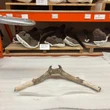 Mysterious deer fossil unearthed near Toronto subway station identified after almost 50 years
