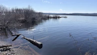 Deer Lake mayor says fears of flooding have subsided for now