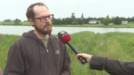 Province warns of blue-green algae in P.E.I. pond