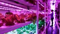 Yukon hydroponic farming company ColdAcre shuts down