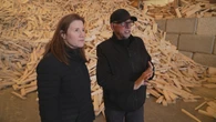 'An insult': Wood manufacturer unimpressed by $12M investment in B.C. forestry in face of U.S. tariffs