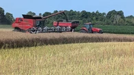 Southwestern Ontario canola farmers brace for impact of Chinese tariffs