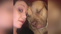 Regina woman says police shot dog, then she was arrested for the 'theft of my own pets'
