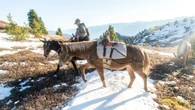 I learned to confront difficult truths about life by photographing Dad's last days and hunting