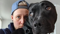 Quebec woman denied housing over service dog wins tribunal case