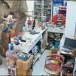 Elephant barges into convenience store, grabs a trunkful of snacks