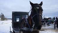 After deadly collisions, Mennonites share the challenges and joys of horse and buggy travel