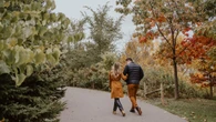Fall feeling a little drab? Mother nature may be missing her environmental cue