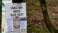 Residents push to 'Save Cable Bay' south of Nanaimo