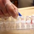 'Invasive' gene test by World Athletics causing headaches for athletes before world championships