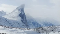 Polar bear attacks and injures skier in Nunavut national park