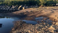 'Dire situation' in Sunnyside as water supply dries up