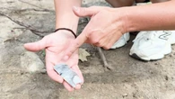 Family unearths ancient spearhead at their Paris, Ont., farm in 'freak' discovery