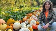 This northern Ontario farmer is making music with her pumpkin patch