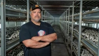 Mushroom farmers concerned about U.S. tariffs, market shares