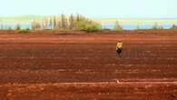 Peat bog fire still smouldering in Foxley River after nearly 3 weeks