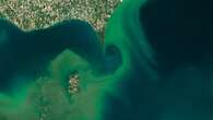 'It will lead to a catastrophe:' U.S. federal job cuts will harm the Great Lakes, Canadian scientists say