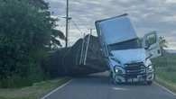 Millions of honeybees loose after truck overturns near B.C.-Wash. border
