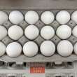 U.S. officials cracking down on people trying to bring valuable eggs across the border