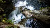 Survivor, first responders warn against cliff jumping at Lynn Canyon