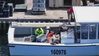 Lobster fishers in P.E.I. met with low prices, high costs and stormy seas this season