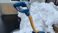 Shovels ready? Wet weekend could also bring first snowfall for parts of Newfoundland 