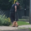 Dog dragged down street was 'failed every step of the way,' says rescue group after Hamilton owner fined $2K