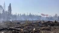 Here are some of the key numbers that defined Alberta's wildfire season