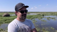 Flooded fields after heavy rains slow start of harvest in south-central Manitoba
