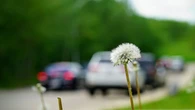 Seasonal allergies seem worse this year. Experts explain why it may feel that way