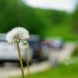 Seasonal allergies are getting worse, but newer medications could offer relief