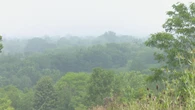 Elevated air pollution leads to air quality advisory for Windsor, Chatham, Sarnia region