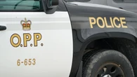 Woman, 3 horses killed in crash west of Renfrew