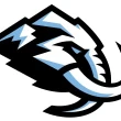 Utah unveils permanent name of NHL team in Salt Lake City
