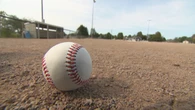 Play ball: League votes to allow Cactus Rats to play in new stadium, but fans aren't allowed