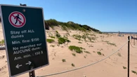 People reminded to keep off sand dunes in P.E.I. National Park amid record visitation