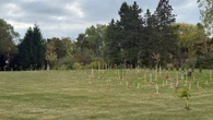 Saplings ripped out of London park to be replanted at monastery
