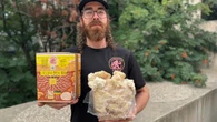 From brain boosting to pain-killing properties, Sask. mushroom lovers say this fungi is a blooming marvel